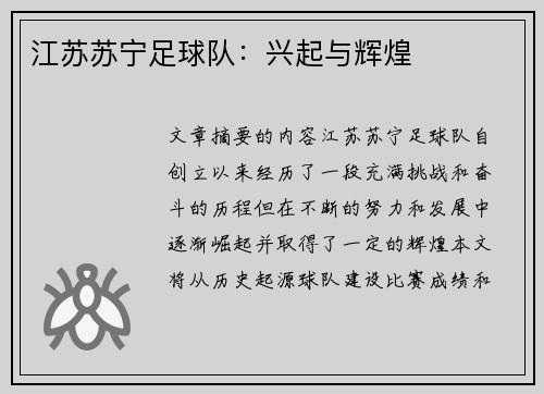 江苏苏宁足球队：兴起与辉煌