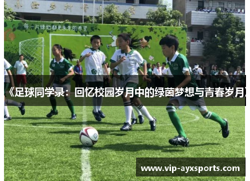 《足球同学录：回忆校园岁月中的绿茵梦想与青春岁月》